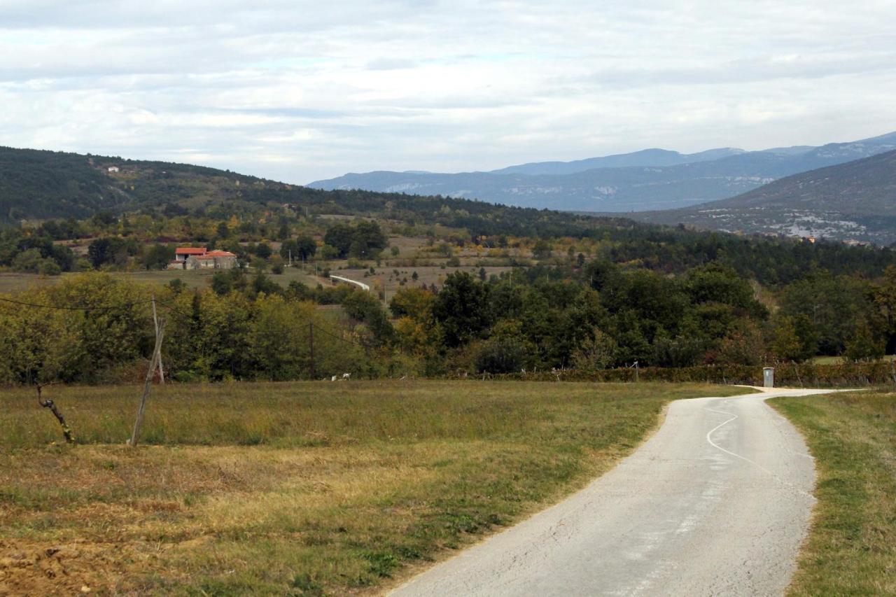 Family Friendly Apartments With A Swimming Pool Cepic, Central Istria - Sredisnja Istra - 11636 Zatka Cepic Εξωτερικό φωτογραφία